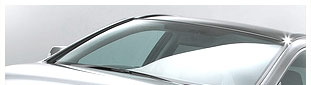 Car Rental India,Car Rental Agency in India,Car Coach Rentals in India