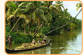 Munnar Tour Packages