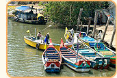 God's Own Country