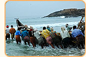 Magical Kerala
