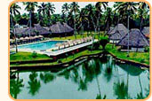 Cochin Tour Packages